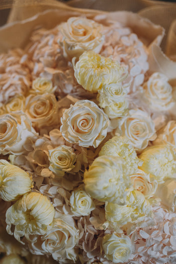 EXHALE SERIES - Restful Beauty L