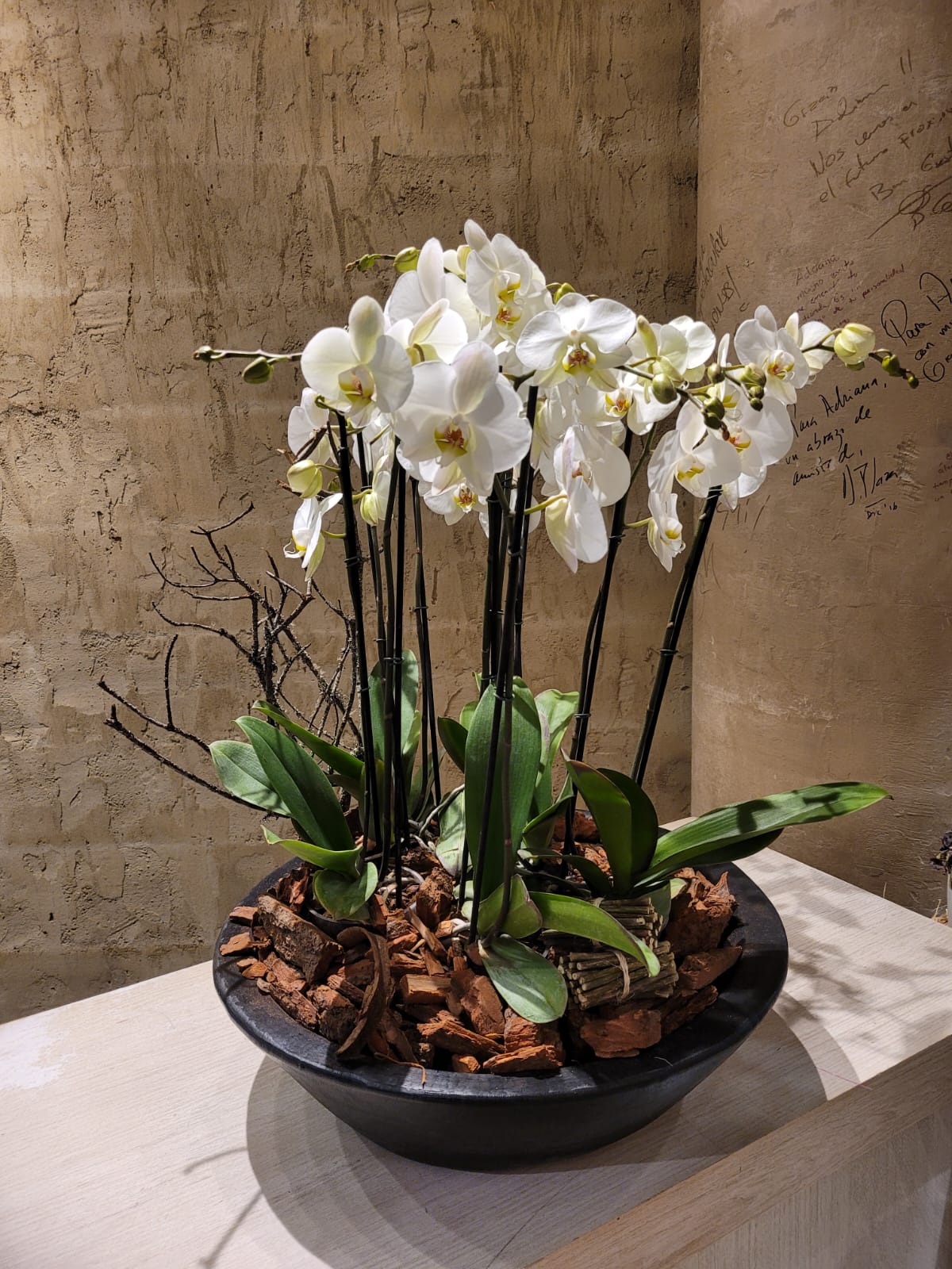 El jardín de las Orquídeas